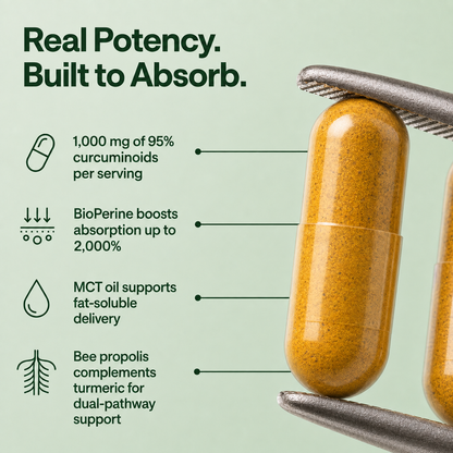 Turmeric Curcumin (1,000mg)