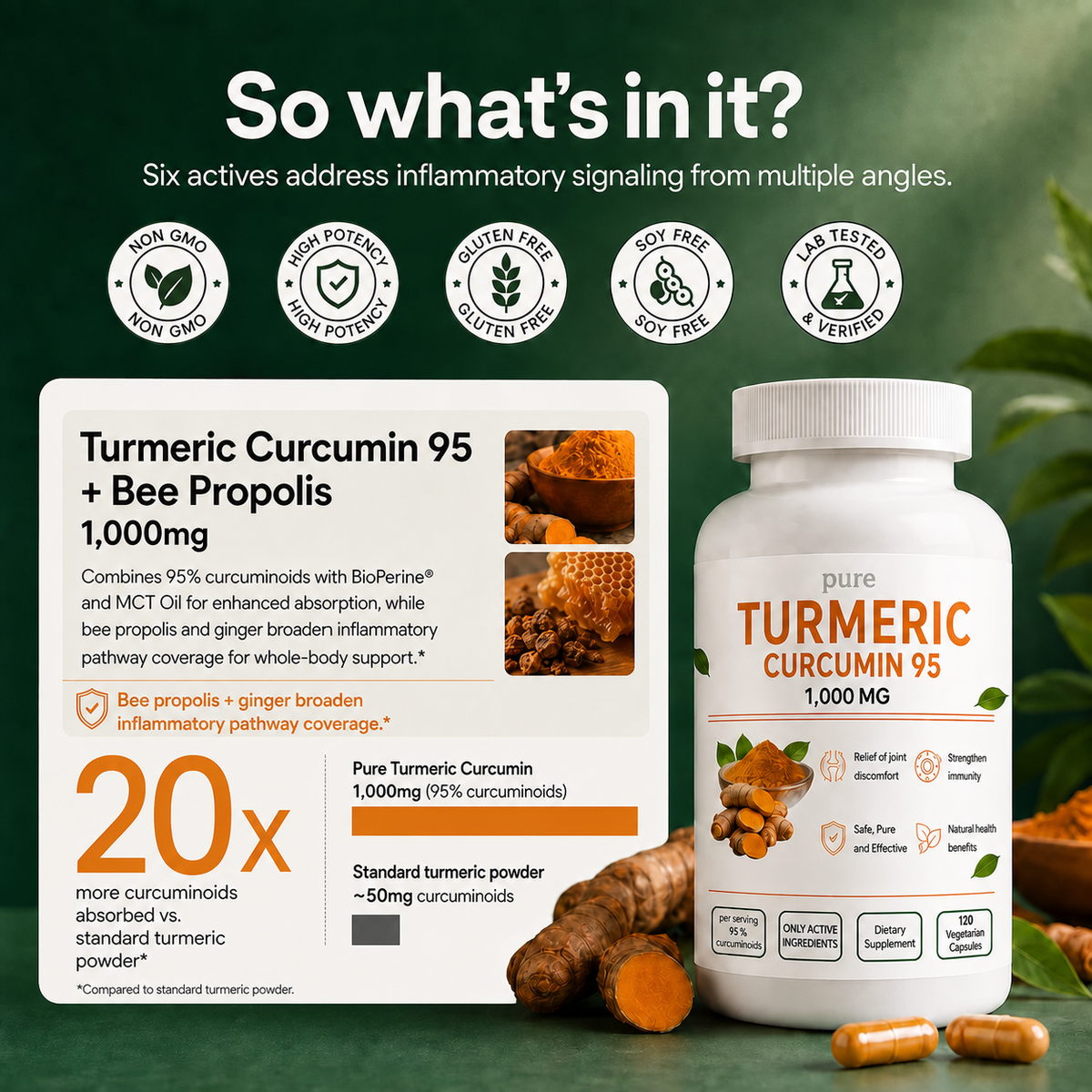 Turmeric Curcumin (1,000mg)