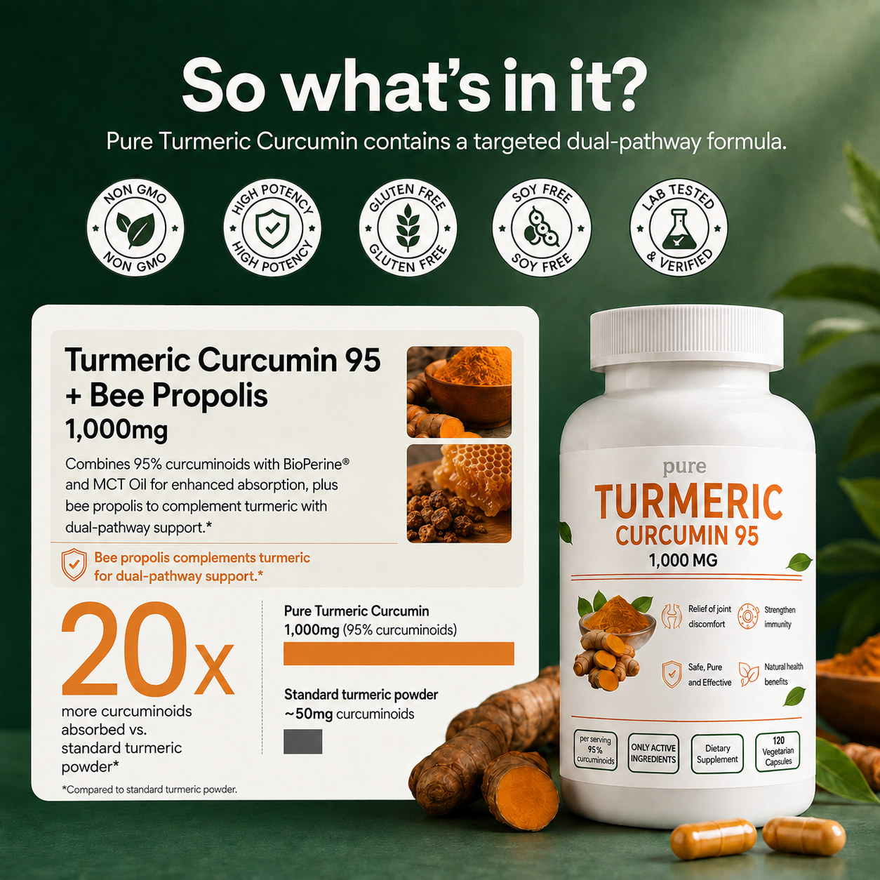 Turmeric Curcumin (1,000mg)